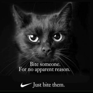 Meet your Posher, Victor